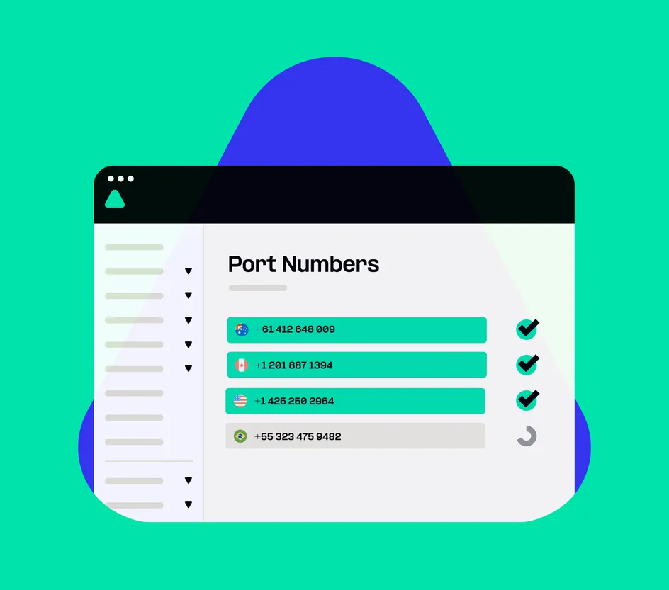 Number Porting